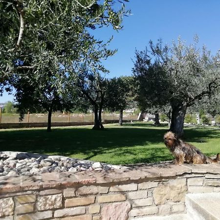 La Lanterna Di Lanfo Διαμέρισμα Ασίζη Εξωτερικό φωτογραφία